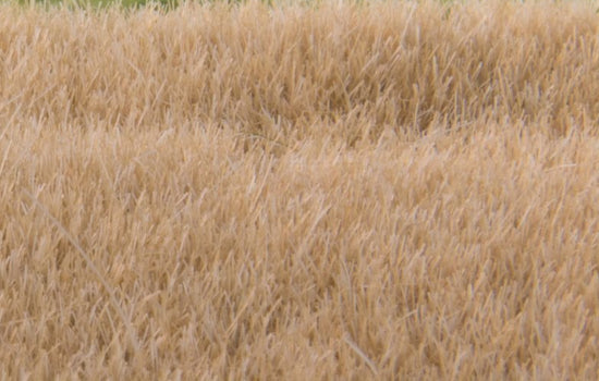 WFS620  - 4mm Straw Static Grass