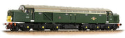 32-487 Class 40 Disc Headcode D213 Andania BR Green (Small Yellow Panels)