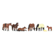 36-080 Horses