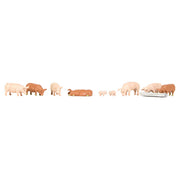 36-082 Pigs