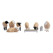 36-083 Sheep