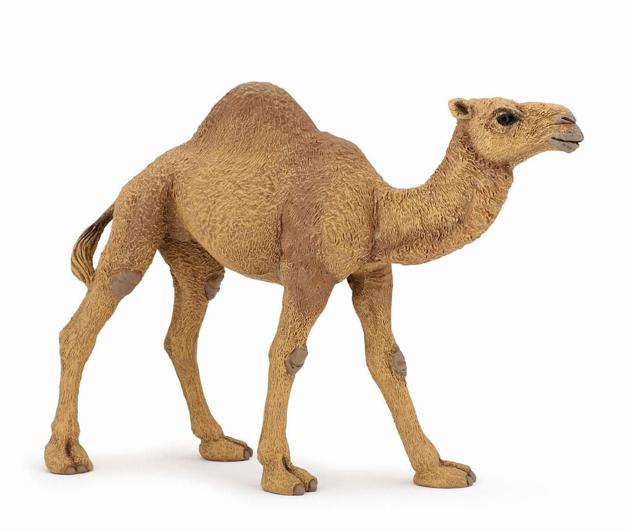 50151 - Papo - Camel