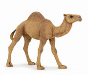 50151 - Papo - Camel