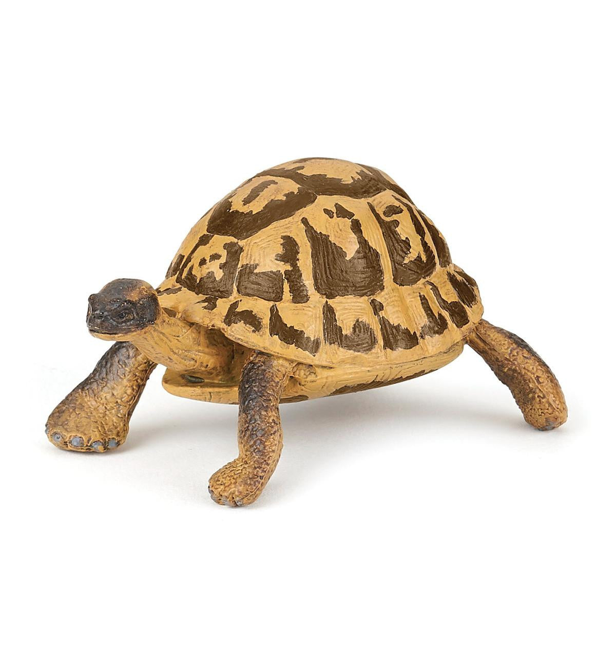 50264 - Papo - Herman's Tortoise