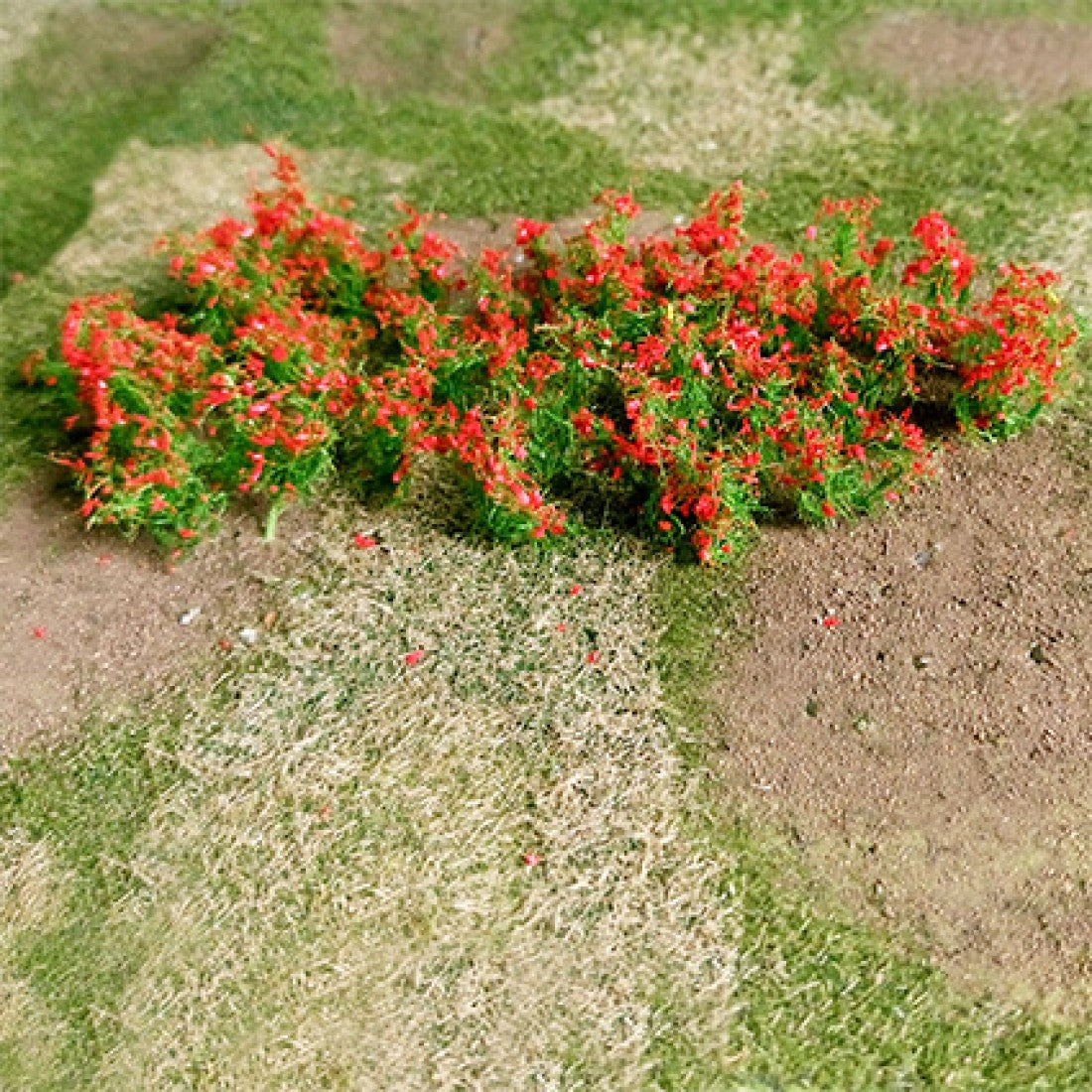Red Poppies 4/9'' 30pk