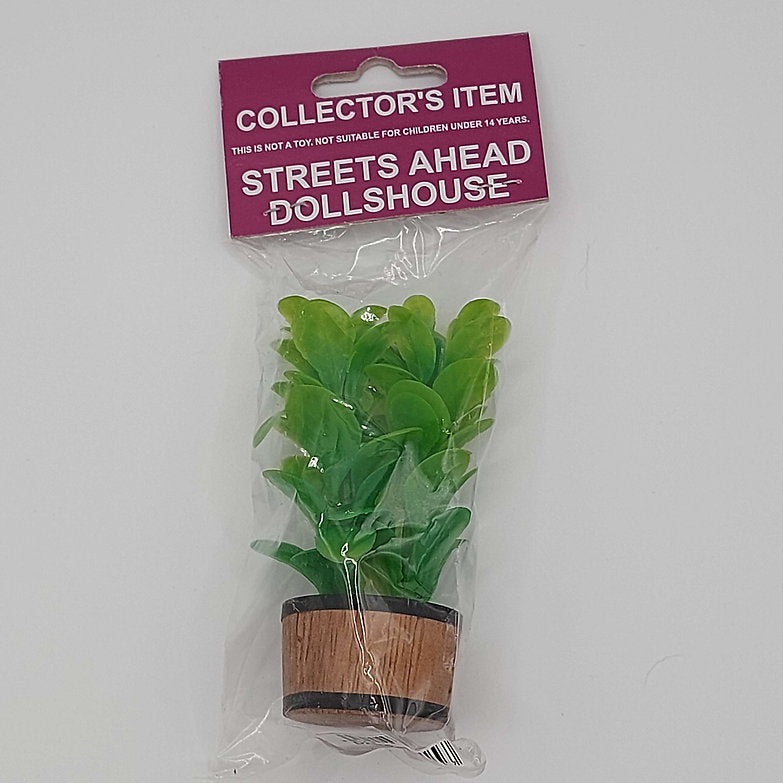 D2346 - Streets Ahead - Double Rubber Plant