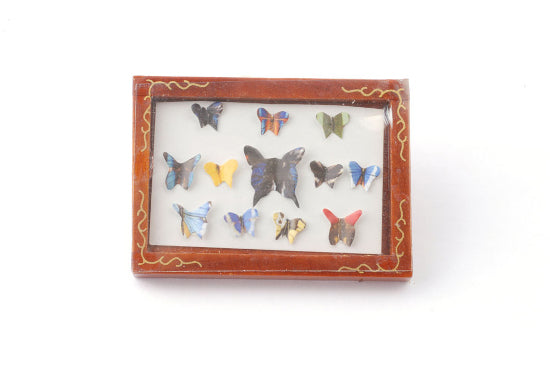 D799 Butterfly Display Box  1:12th Scale