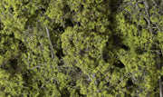 F1132 Light Green Fine-Leaf Foliage