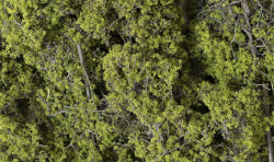 F1132 Light Green Fine-Leaf Foliage