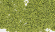 F51 Light Green Foliage