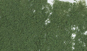 F53 Dark Green Foliage