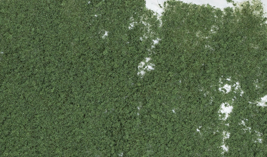 F53 Dark Green Foliage