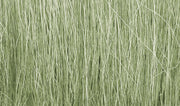 FG173 Light Green Field Grass