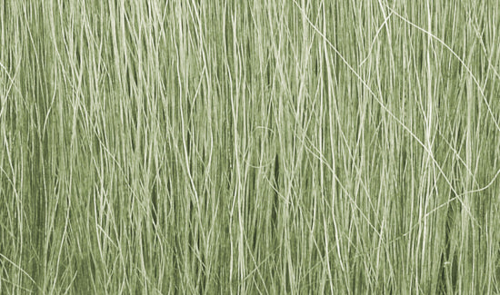 FG173 Light Green Field Grass