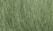 FG174 Medium Green Field Grass