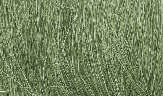 FG174 Medium Green Field Grass
