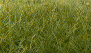 FS625 12mm Dark Green Static Grass
