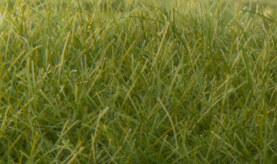 FS625 12mm Dark Green Static Grass