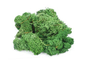 GM1602 - Gaugemaster - Lichen Dark Green 80G