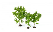 GM1822 Birch Trees (3)