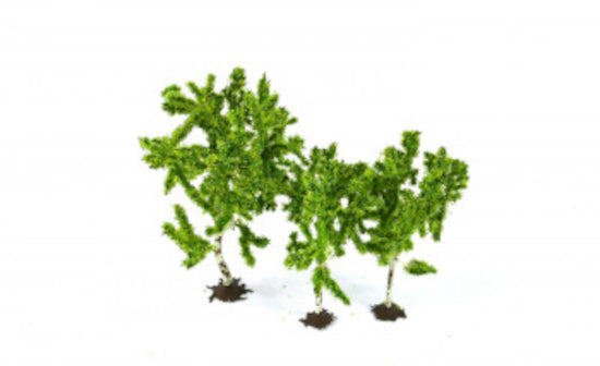 GM1822 Birch Trees (3)