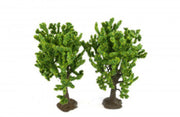 GM1826 Beech Trees (3)