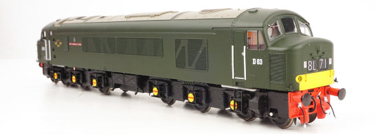 HN45102 Class 45 D63 'Royal Innisklling Fusilier' BR Economy Green SPECIAL OFFER