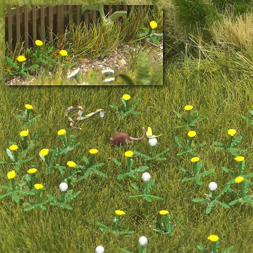 Dandelions (HO)