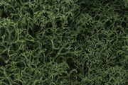 L163 Medium Green Lichen