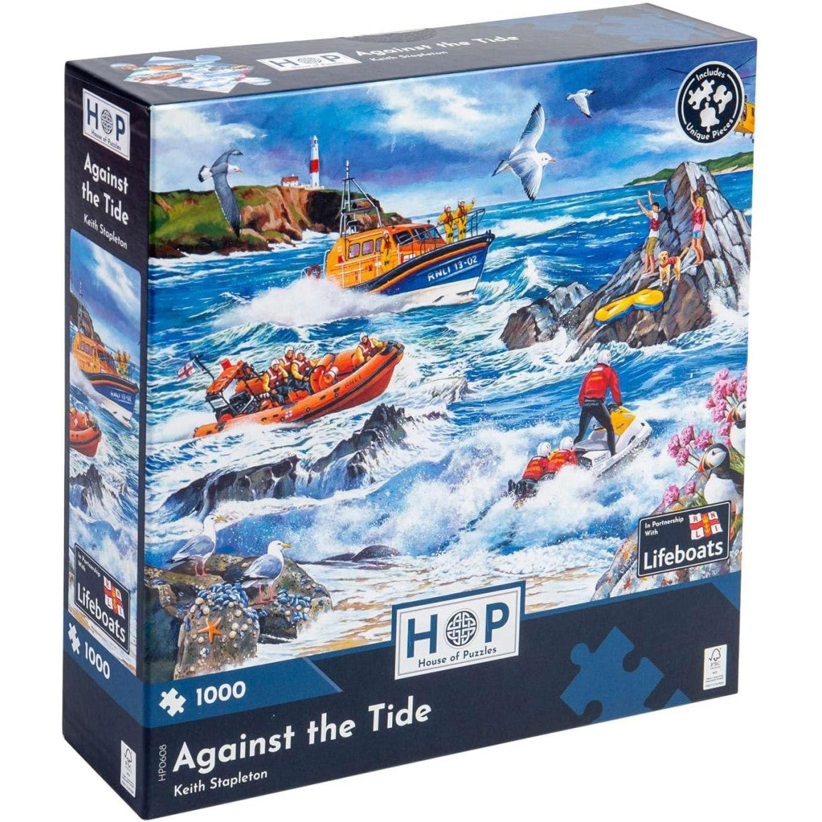 House of Puzzle - Jigsaw Against the Tide