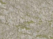 Wrinkle Rocks "Seiser Alm"