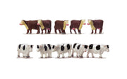 R7121 Cows