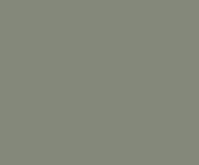RM1403 - Railmatch - Roof Dust