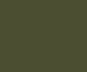 RM201 - Railmatch - Enamel Executive dark grey