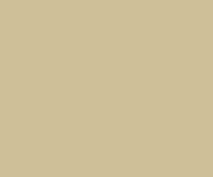 RM312 - Railmatch - Enamel Cream (15ml)