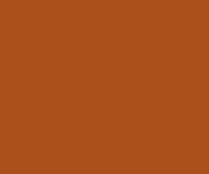 RM404 - Railmatch - Enamel Light Rust (15ml)
