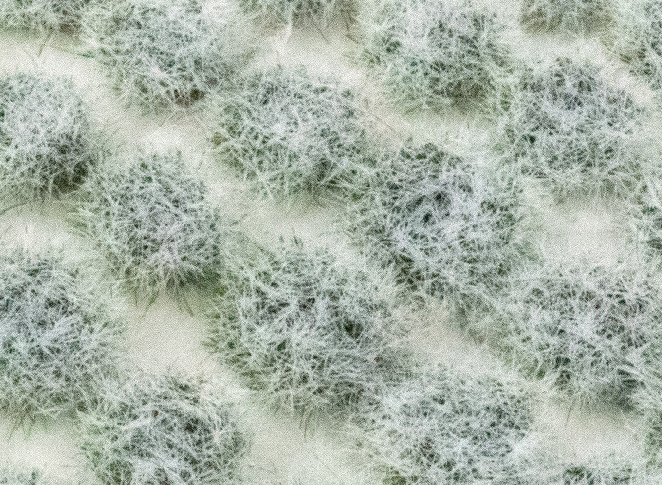 SGTICE04 - WWScenics 4mm Iced Winter Static Grass Tufts x 100