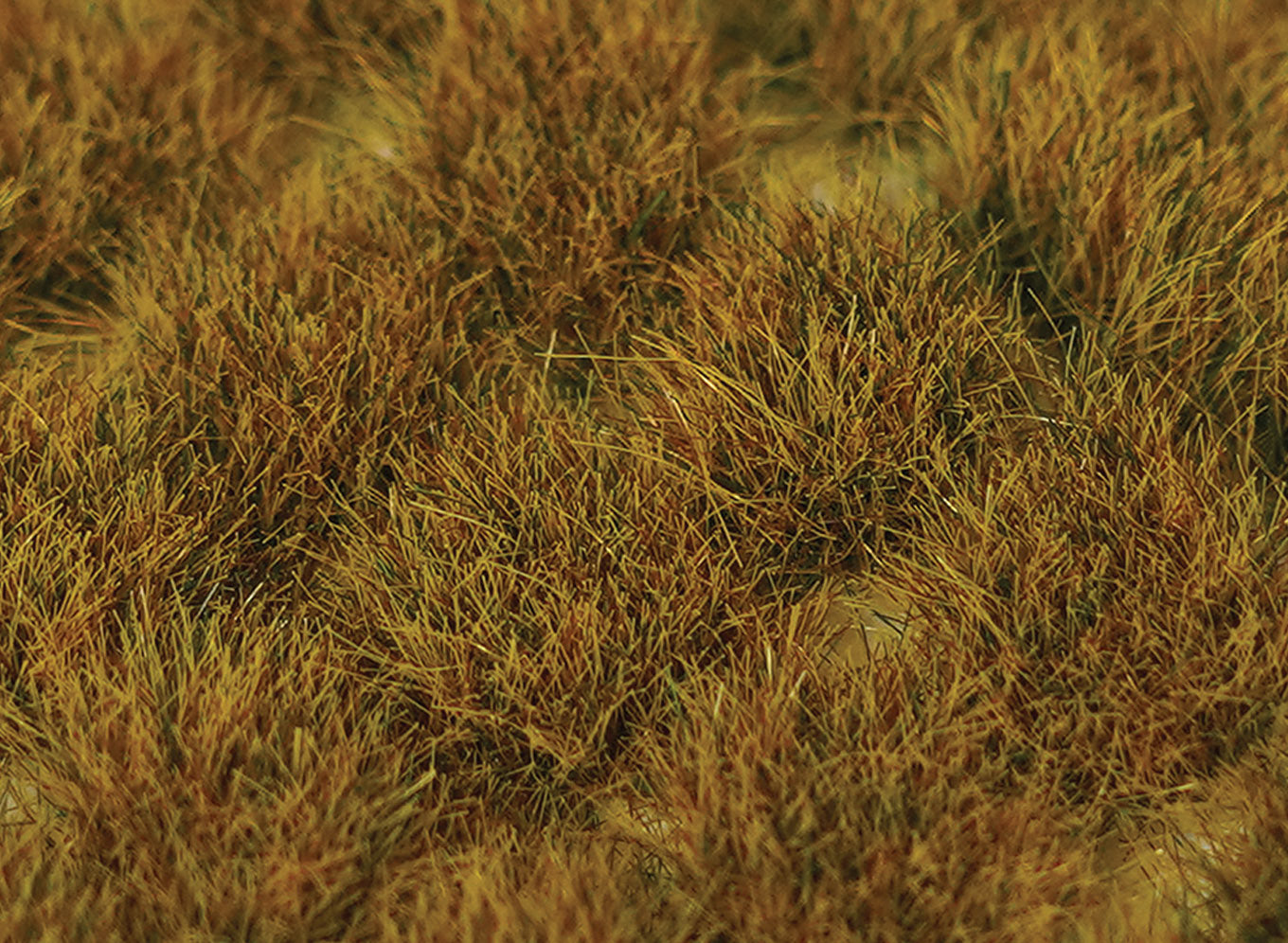SGTWGR10 - WWScenics 10mm Wild Grass Tufts x 100