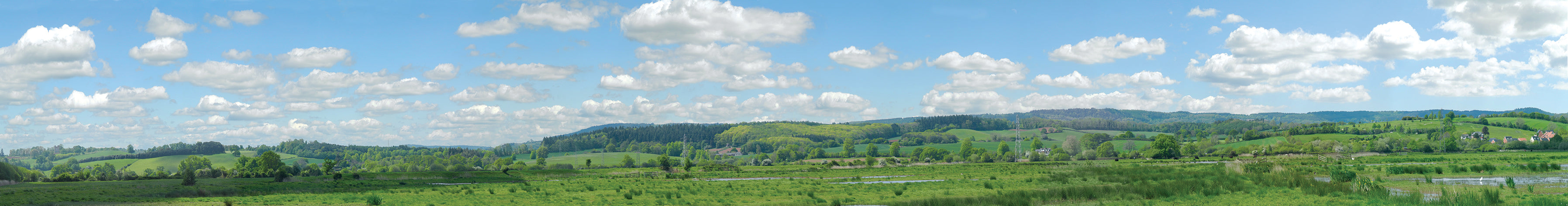 Photographic Backscene, Water Meadow