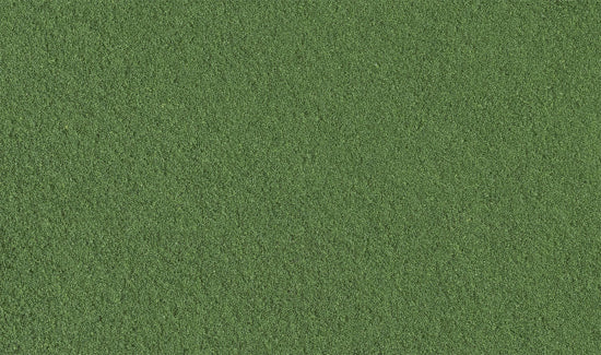 T46 Weeds Fine Turf