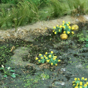 N Gauge Marsh Marigold 16pk (Railway Scenery)