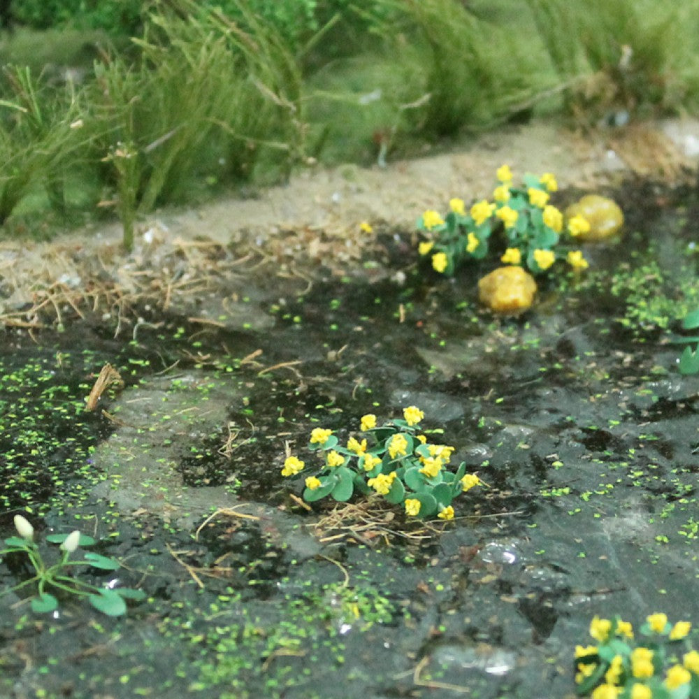 Marsh Marigold