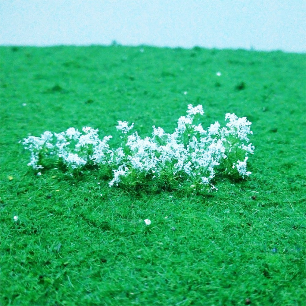 Cow Parsley