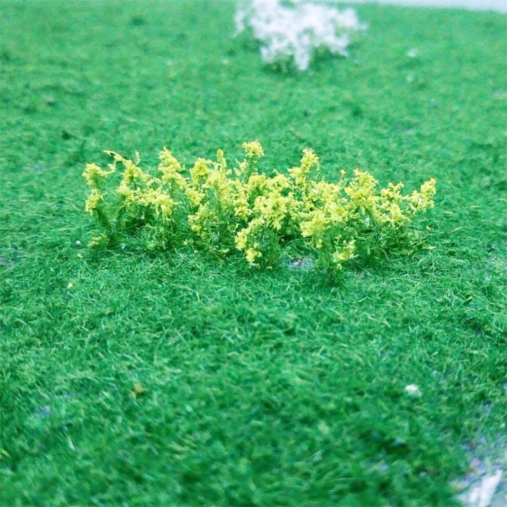 Oilseed Rape