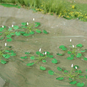 Water Lilies