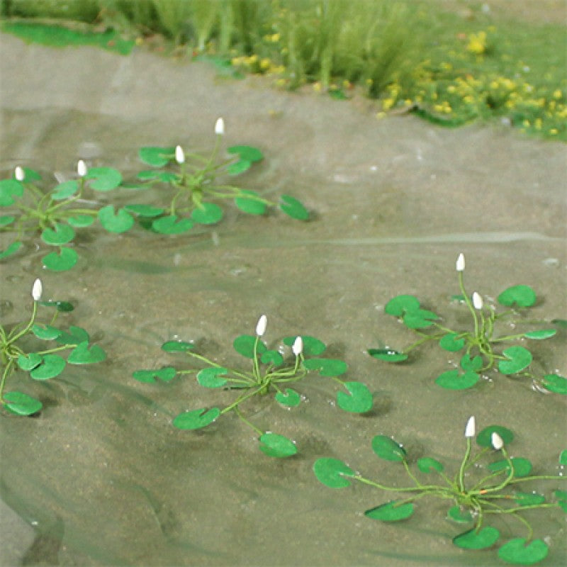 Water Lilies