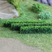 Green Hedges 00979