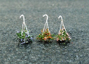 Hanging Baskets