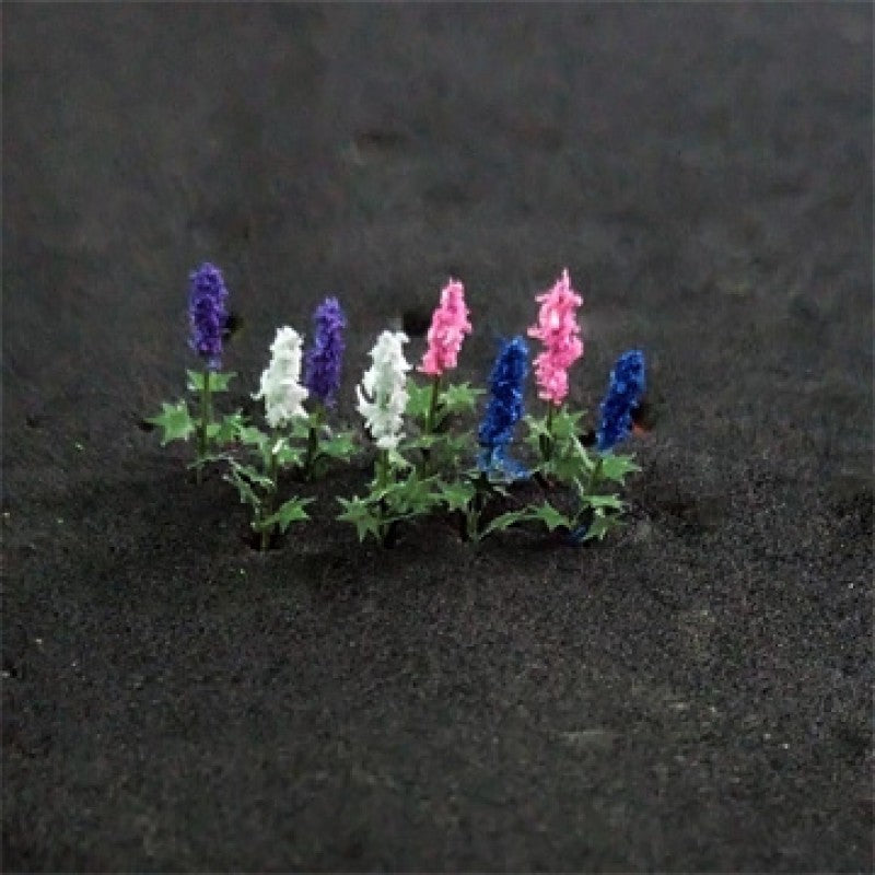 TAS074302 - Tasma - N - Delphiniums