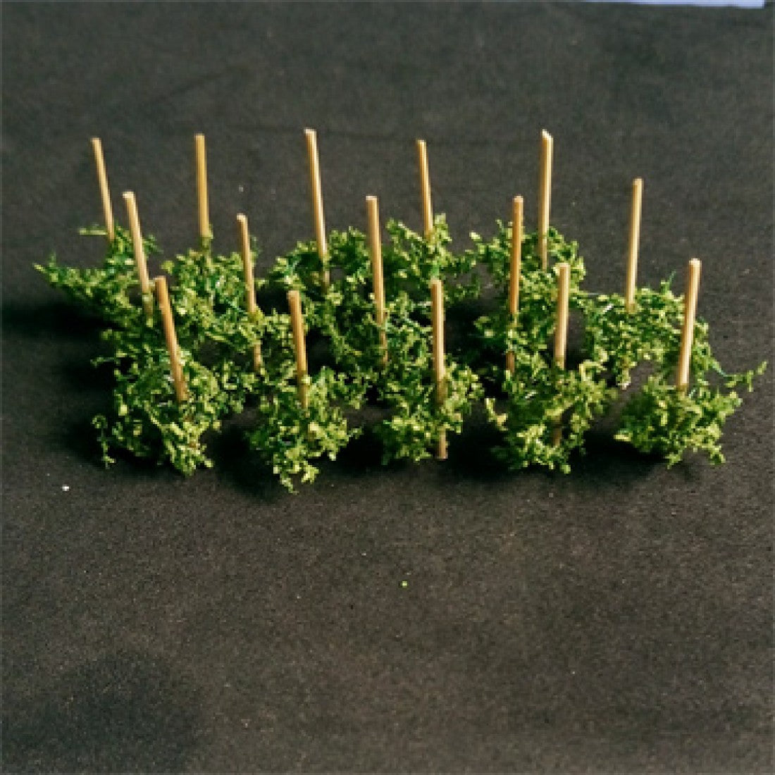 N Gauge Runner Beans